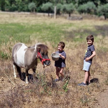 Arca Dos Animais - Farming & Spa Castelo Branco  Dış mekan fotoğraf