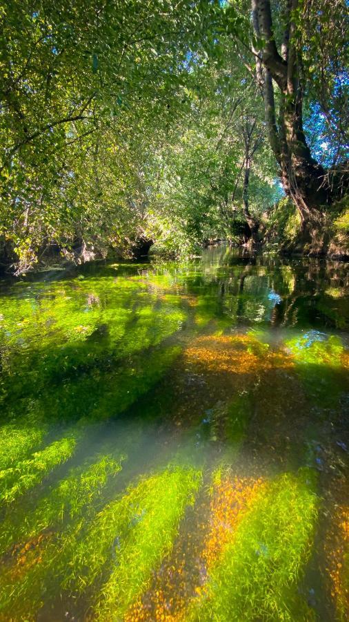 Arca Dos Animais - Farming & Spa Castelo Branco  Dış mekan fotoğraf